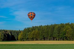 Фотообои Воздушный шар над деревьями Артикул nfi_02069