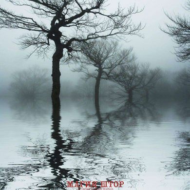 Фотообои Деревья в воде Артикул 3048