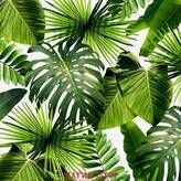 Фотообои Тропические листья Артикул 62832
