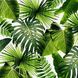 Фотообои Тропические листья Артикул 62832 6