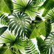 Фотообои Тропические листья Артикул 62832 1