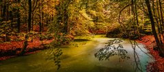 Фотообои Река в лесу Артикул nus_10458