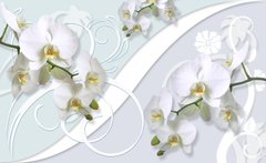 3D Фотообои Белые орхидеи Артикул 30930