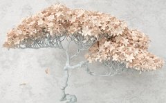 3D Фотообои Белое дерево с цветами Артикул 40471