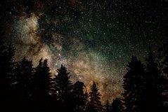 Фотообои Звездное небо в лесу Артикул nus_11051