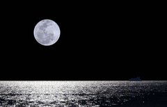 Фотообои Луна над морем Артикул 0609