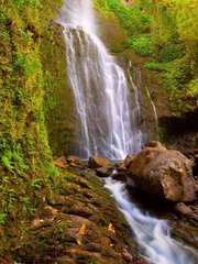 Фотообои Водопад в зеленом лесу на камнях Артикул 3398