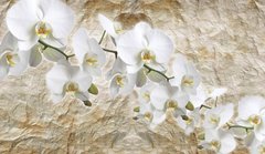 3D Фотообои Ветви белоснежных цветов Артикул 36809