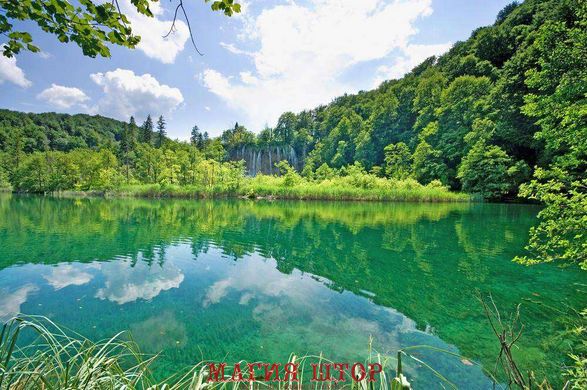 Фотообои Озеро и лес Артикул 1585