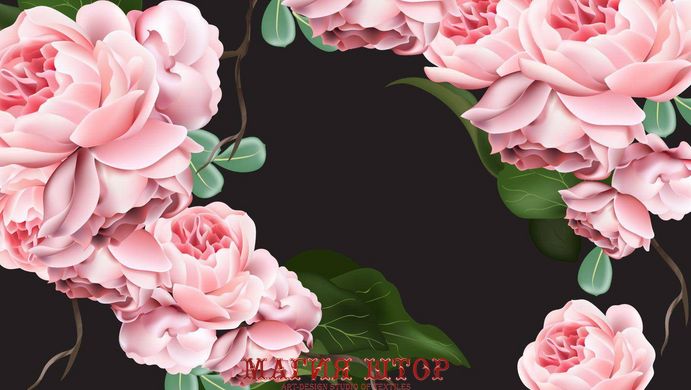 3D Фотообои Розовые цветы на темном фоне Артикул 39584