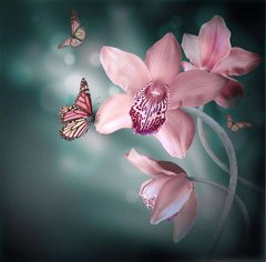 Фотообои Розовые орхидеи и бабочки Артикул 9412