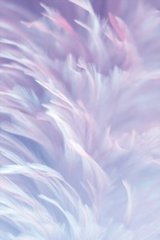 Фотообои Белые с фиолетовым перья Артикул shut_1506