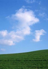 Фотообои Облака над полем Артикул 0724