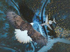 Фотообои Птица над самолетом Артикул nfi_02665