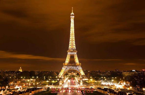 Фотообои Эйфелева башня - ночной Париж Артикул 3383