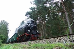 Фотообои Поезд в лесу Артикул nfi_02439