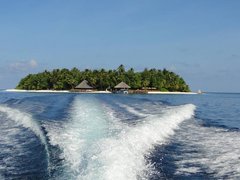 Фотообои Остров с пальмами Артикул nfi_02870