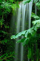 Фотообои Водопад в зеленом лесу Артикул 5352