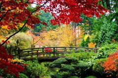 Фотообои Осенний сад Артикул 1450