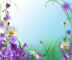 Фотообои Колокольчики и ромашки Артикул 5951