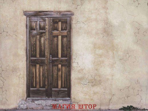 Фотообои Старая дверь Артикул 18789