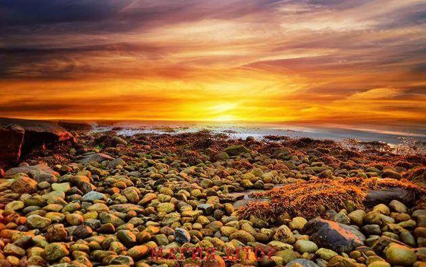 Фотообои Оранжевый закат на каменном пляже Артикул dec-509