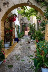 Фотообои Цветочный сад в переулку старого города Артикул 43285