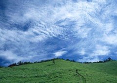 Фотообои Облака над полем Артикул 0721