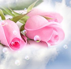 Фотообои Розовые розы и капли Артикул 5855