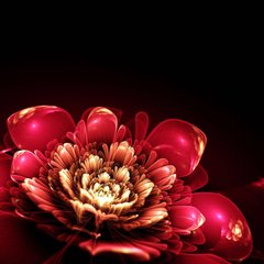 3D Фотообои Красный 3д цветок Артикул 24168