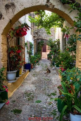 Фотообои Цветочный сад в переулку старого города Артикул 43285