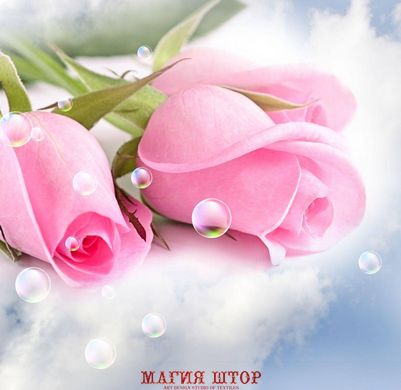Фотообои Розовые розы и капли Артикул 5855