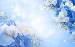 Фотообои Синие цветки гортензии Артикул 44442