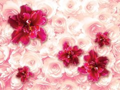 3D Фотообои Розовые 3д цветы Артикул 27312
