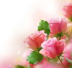 Фотообои Нежные розовые розы Артикул 4570