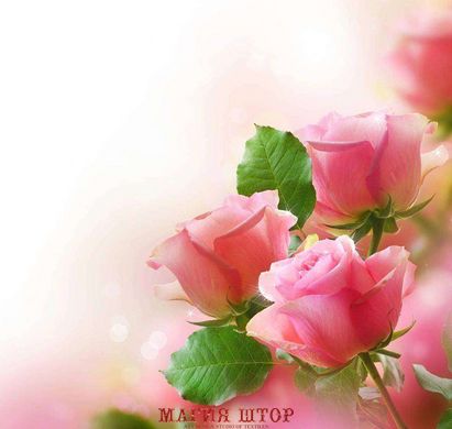 Фотообои Нежные розовые розы Артикул 4570