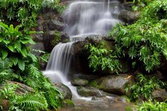 Фотообои Водопад в зеленом лесу Артикул 5363