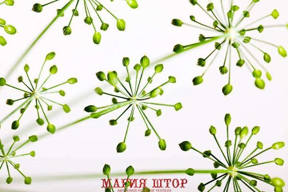 Фотообои Зеленые цветы Артикул 14470