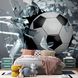 3D Фотообои Футбольный мяч в окне Артикул 22489 3