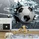 3D Фотообои Футбольный мяч в окне Артикул 22489 8