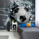 3D Фотообои Футбольный мяч в окне Артикул 22489 6