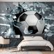 3D Фотообои Футбольный мяч в окне Артикул 22489 5
