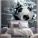 3D Фотообои Футбольный мяч в окне Артикул 22489 9