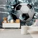 3D Фотообои Футбольный мяч в окне Артикул 22489 7