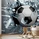 3D Фотообои Футбольный мяч в окне Артикул 22489 4