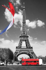 Фотообои Символ Парижа Артикул 15159