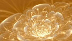 3D Фотообои Завораживающий цветок Артикул 33493
