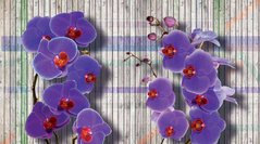 3D Фотообои Ветки орхидей Артикул 29361