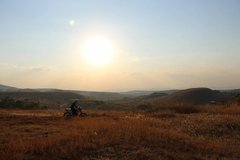 Фотообои Мотоциклист в поле Артикул nfi_02638