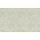 Rasch Axiom (959734)